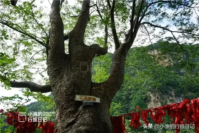 西安自驾1小时，有个秦岭奇观很神奇！冷门还免费，你去过吗