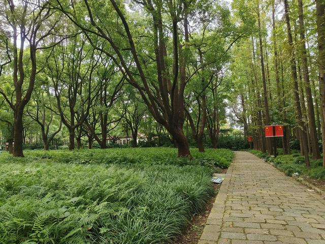 复兴岛上共青路，工业遗存赋新能
