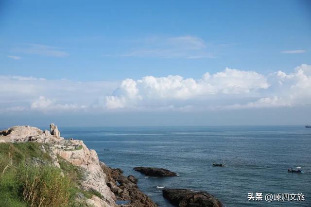 冬日寡淡？NO！看，花鸟岛的缤纷藏不住啦！