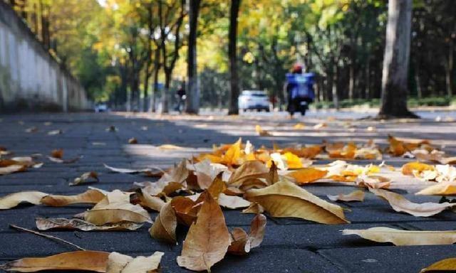 如果您欠几十万就崩溃？听完这段话您会马上清醒！