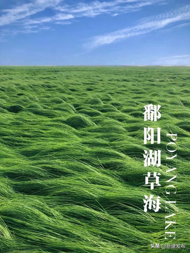 江西的秋，慢慢把山河写成诗