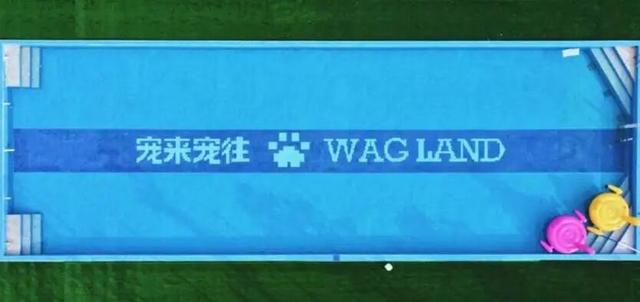 不赶路了，年轻人都来这里过国庆！