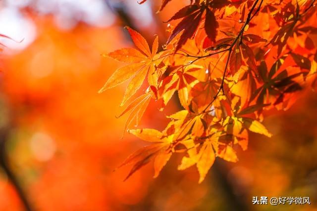 如果你已经七十岁，请花点时间看完此文，一定对你有所帮助