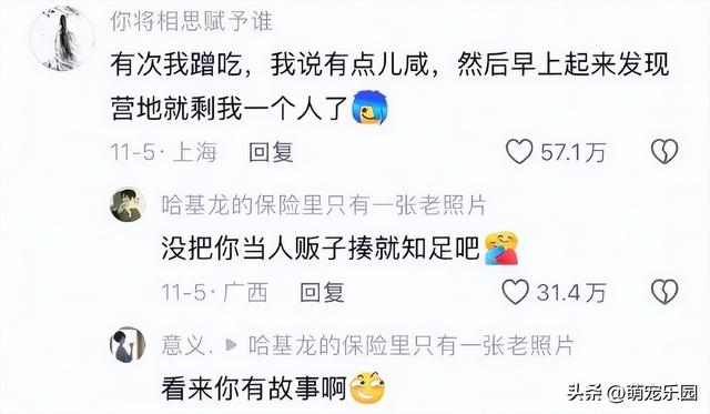 露营遇到三类人，营地大厨让我念念不忘，自然通带我上了一堂课