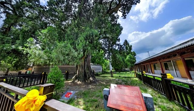 白水“十四五”文旅答卷：年均接待游客超150万 旅游收入超5.1亿元