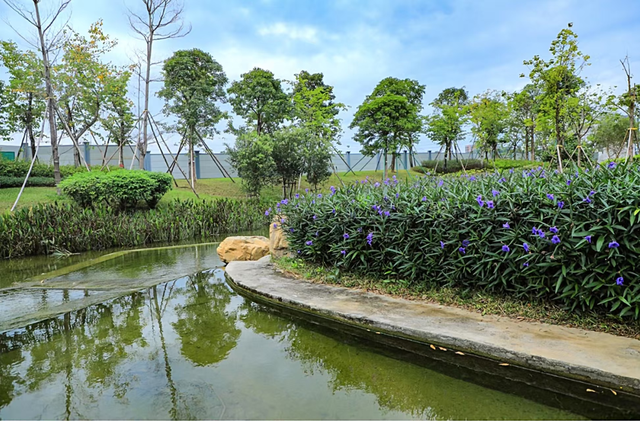 大美湿地“深”有诗意