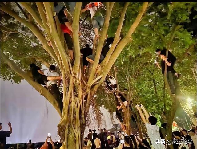 南宁取代桂林成为广西第一旅游城市指日可待！