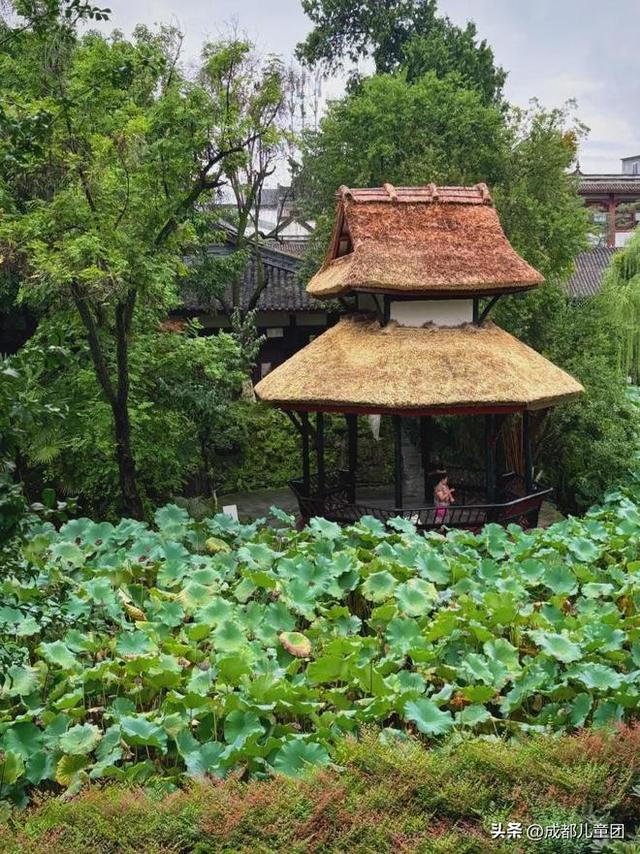 新都，被低估的好地方