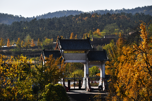 临沂人游临沂｜赶郯城大集吃刚出锅的烧鸡，初冬游古郯烟火