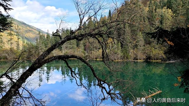 今年的彩林，选择了神仙池（嫩恩桑措）
