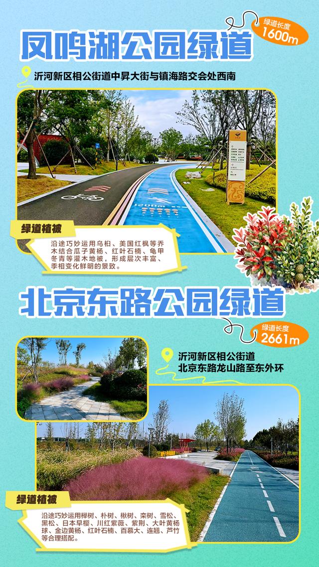 藏不住了！临沂35条诗意绿道，道道有风景，步步皆诗意