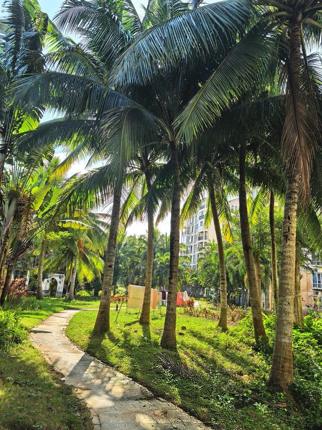 又回海南天来泉