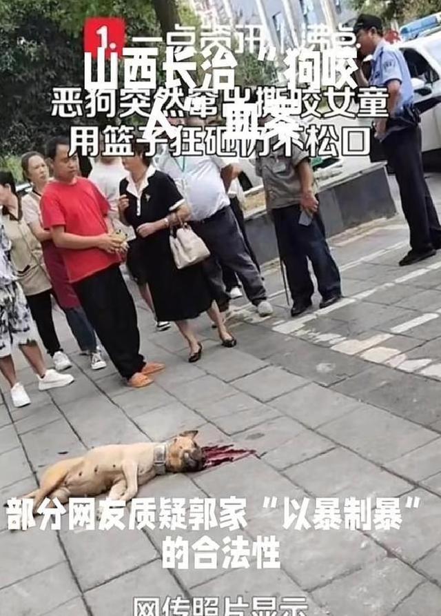 长治“狗咬人反杀案”余波未平！三个争议点戳中社会痛点