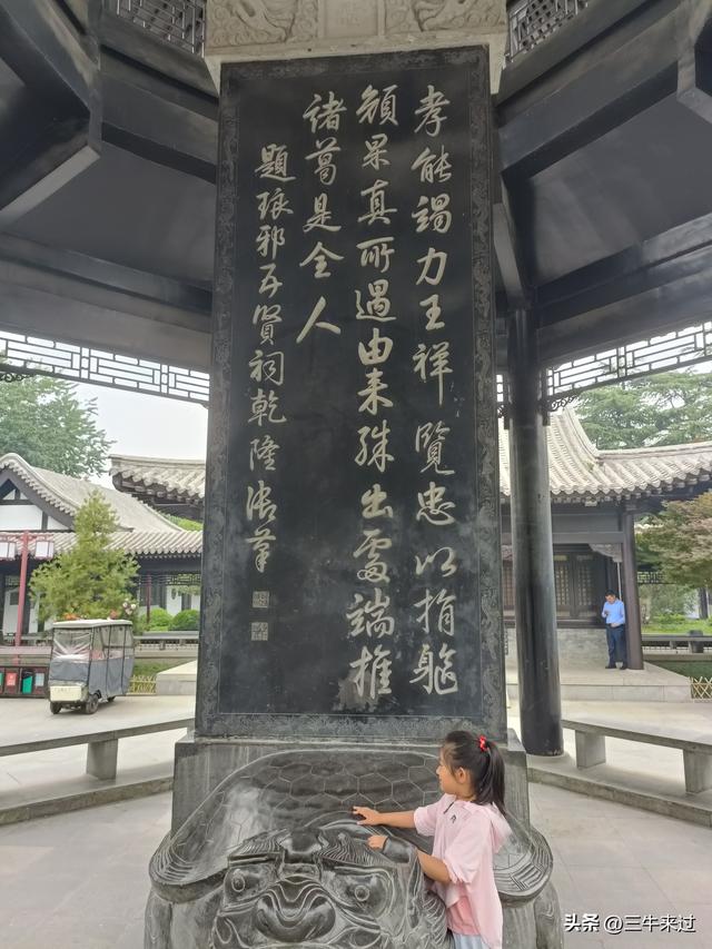 无为在歧路，2025之经行