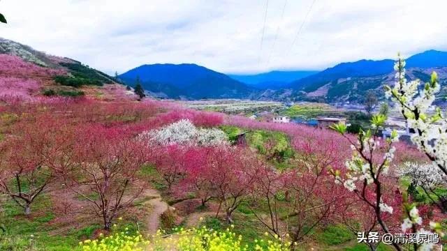 莲华山居隐诗意