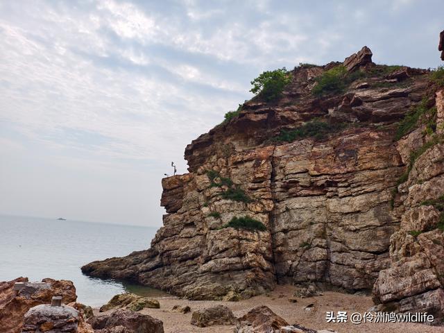 大连海之韵公园·棒槌岛