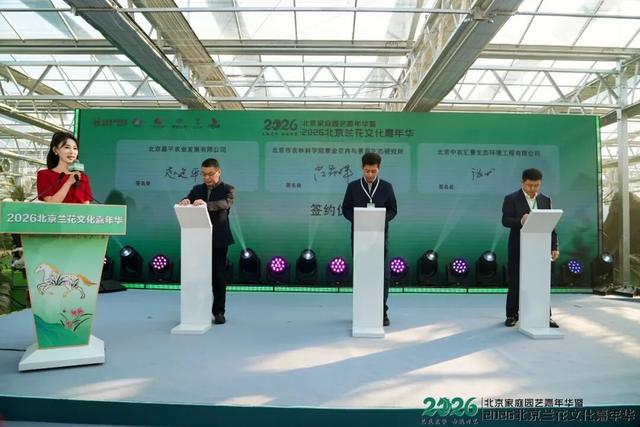 来逛超大冬日花果游园会，2026北京兰花文化嘉年华在昌平开幕 | 动态