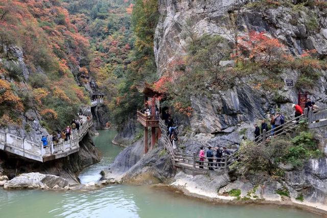 这才是秋天该有的样子~