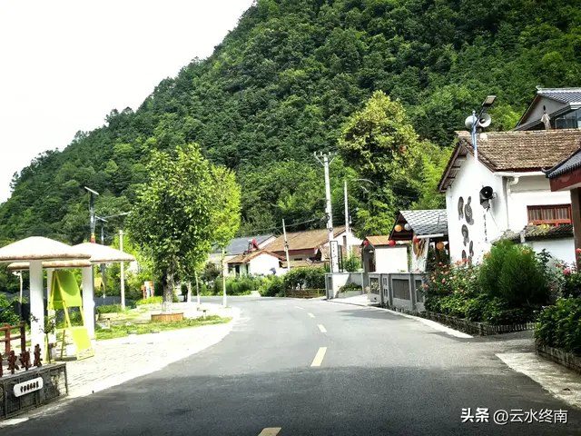 美不美？从“吐一路”到最美乡村路，看4000年银杏，探2000年栈道
