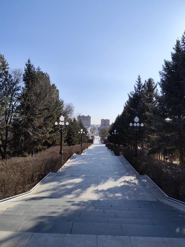 打卡[玫瑰]内蒙古锡林郭勒盟