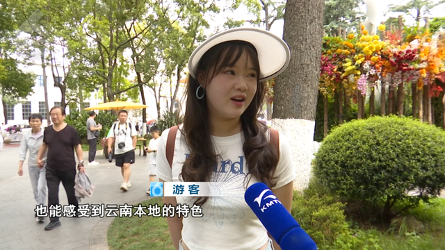 “阿老表，车给你开好了！”网友：昆明的共享单车“滇味”很浓……