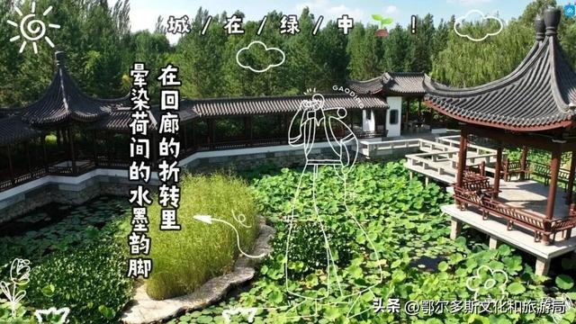 康巴什的惊喜：满眼是绿，转身见自然