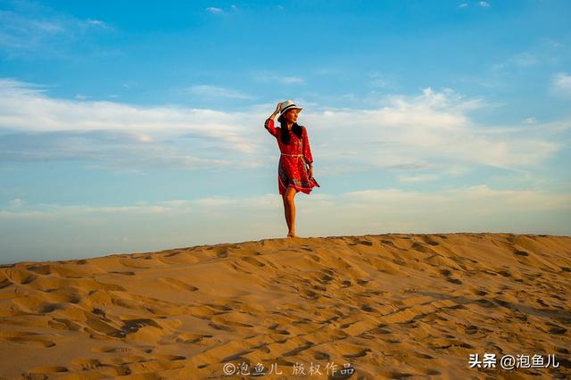 自驾宁夏意外发现：贺兰山变绿了！背后原因让人点赞