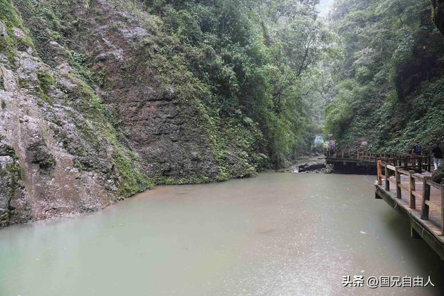 “渝黔生物基因库”黑山谷游记