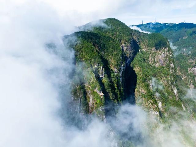 要卷就来明月山卷云海！这里的“心灵SPA”让你满血复活！