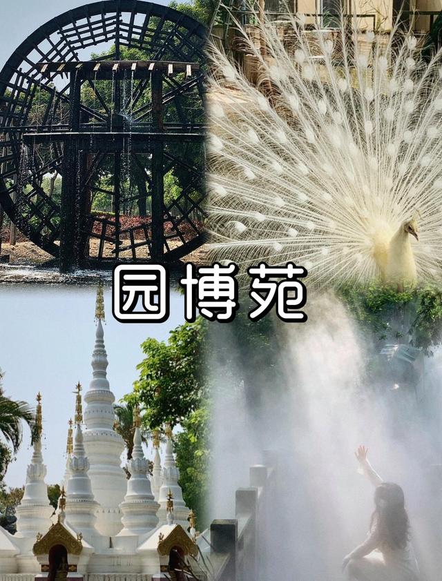 厦门园博苑八景，杏阁远眺、水月光华、墨杉奇色等，都是网红景点