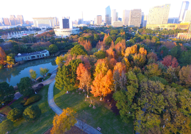 宁波秋色已“加载”80%！收好这份“金色地图”，随时打卡