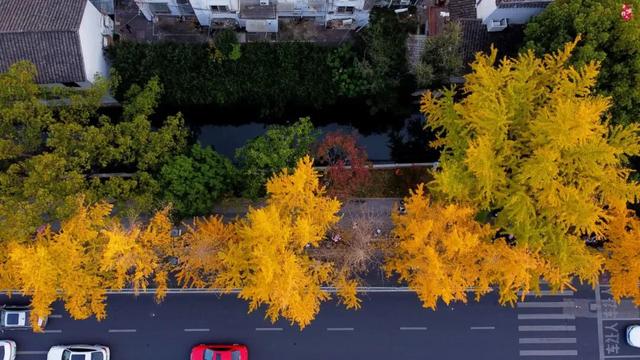 抓住秋天的尾巴！出发苏州这5个赏秋圣