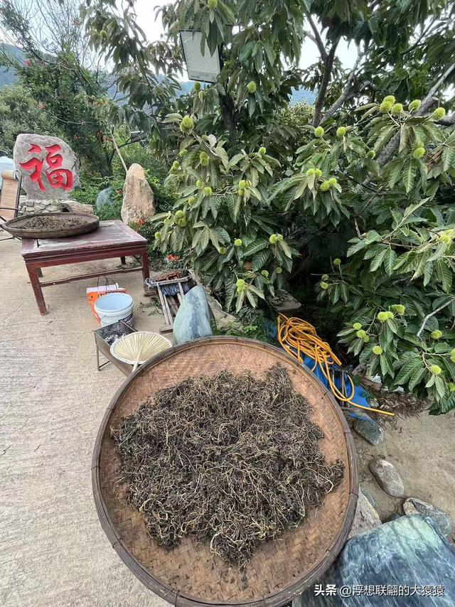 炎炎夏日去泰山西麓曹家庄后山里的隐佛崖打泉水吃炖鸡