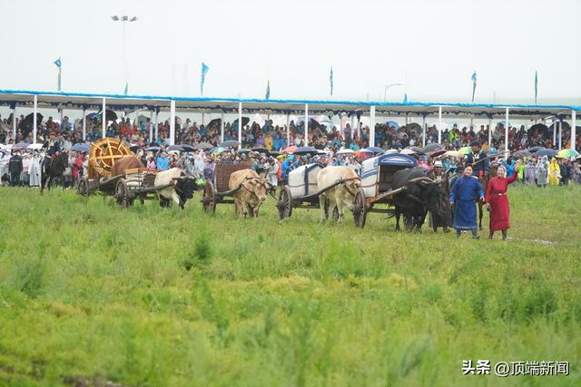 全是名场面！骏马踏雨，彩烟映空……内蒙古自治区第35届草原那达慕开幕