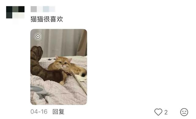 这可能是我买过的最离谱的特产：