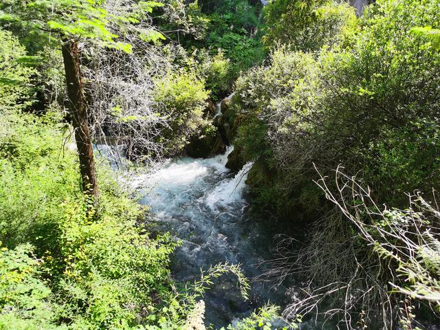 黄龙、九寨、都江堰随记Day3九寨归来不看水
