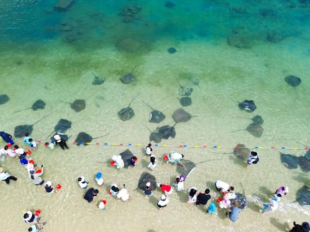 分界洲岛错峰游 | 摸鱼、玩海玩到飞起～