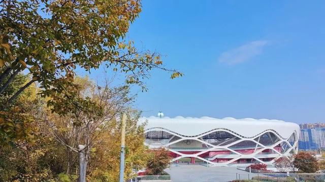 自然盛宴！橙黄橘绿好景时，市民中心初冬的“限定美景”已上线！