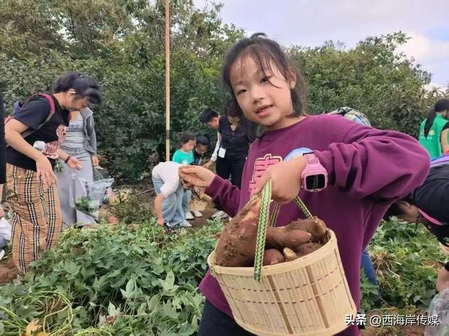 出发杨家山里！秋日游玩攻略已备好→