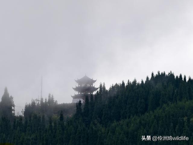 四川行(73)什邡红枫岭徒步到钟鼎寺