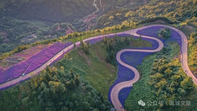 孔雀世界景区通过国家3A级旅游景区评定！