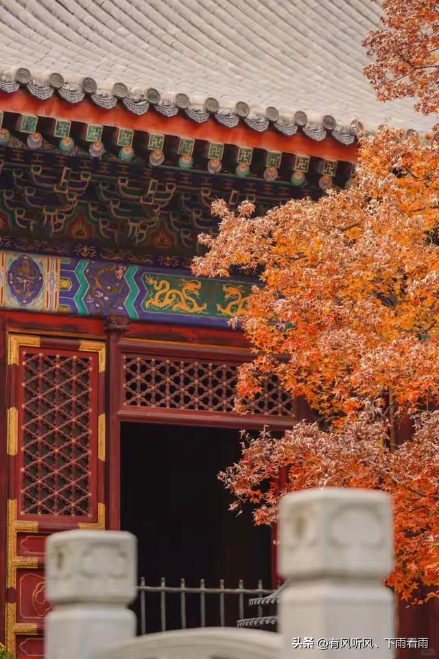 秋染山河
