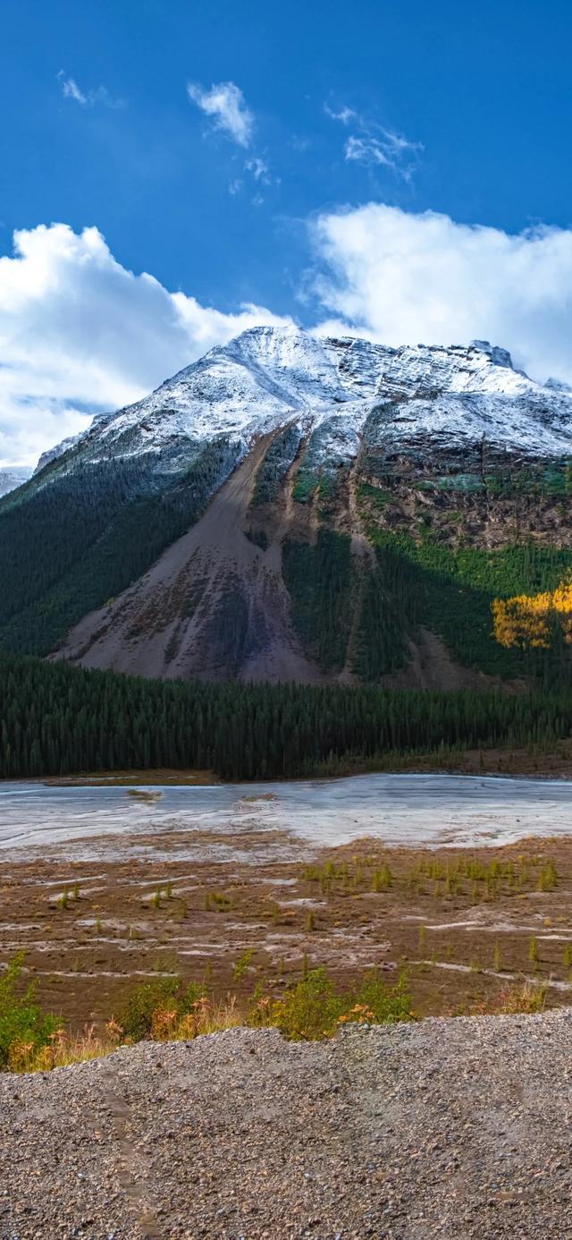 手机壁纸|清新盎然的自然风光美景