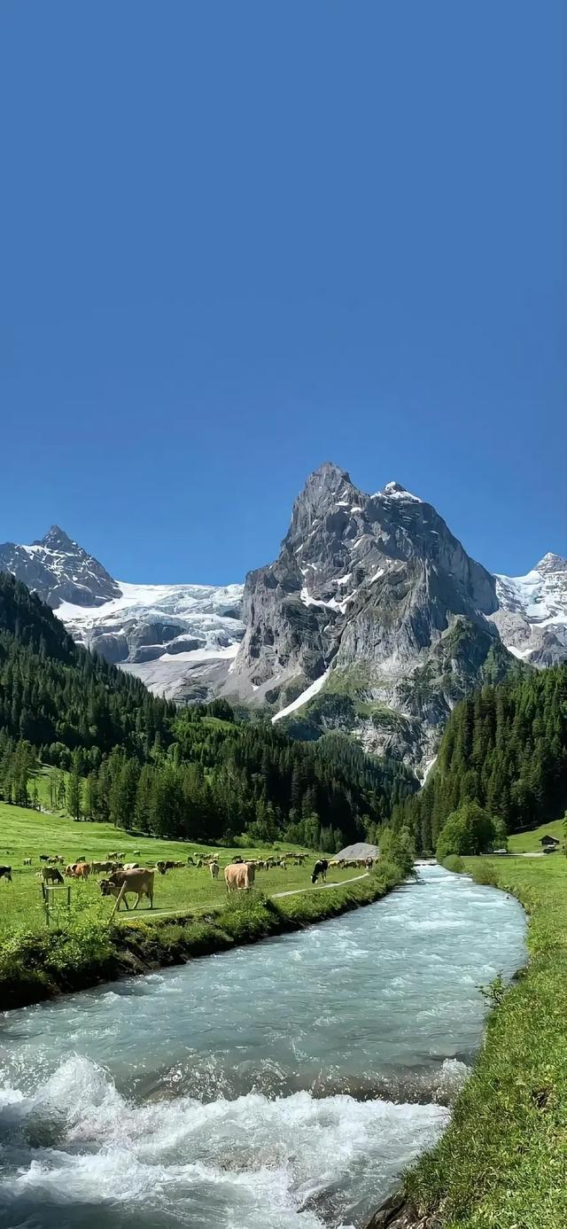 治愈的风景壁纸