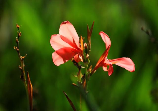 秋天的陇南，有什么好看的？