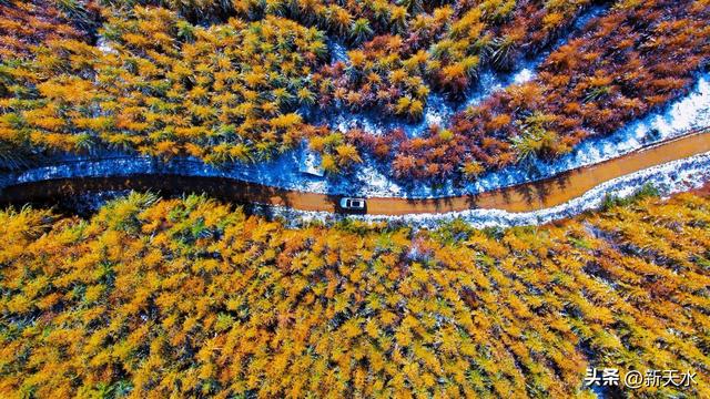 武山县四门麦山：秋红映雪