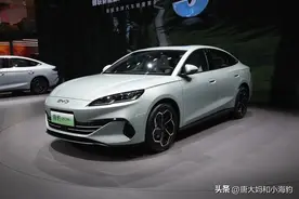 9.98万的海豹06，恐将成为压垮26万海豹车主的最后一根稻草图片