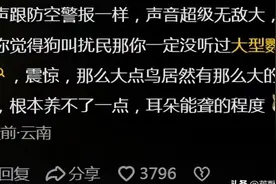 难怪大型鹦鹉一直不开放售卖!网友分享开眼了,原来大鹦鹉这么恐怖图片