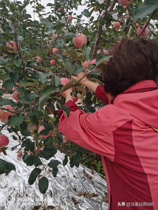 我的2025~实现了由自驾游为“自驾旅居”游的转变