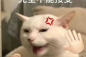 突发！武汉通90分钟免费换乘取消了？图片